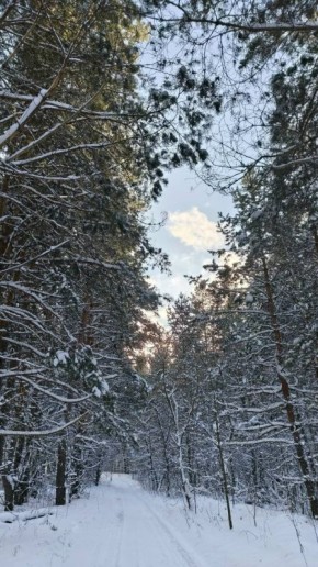 ������ ����, ������!. ����� ����������� ���� ����� �������� ���������� �������� ��������� �������������! : �������� ����� ������ � �������