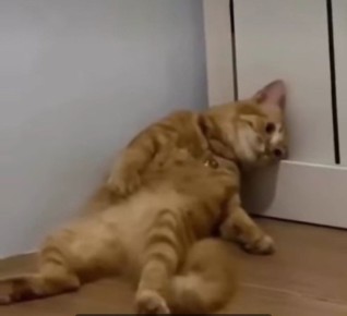 �������������������, ���������!