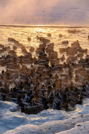 ���������� �������������� ������ � ����!