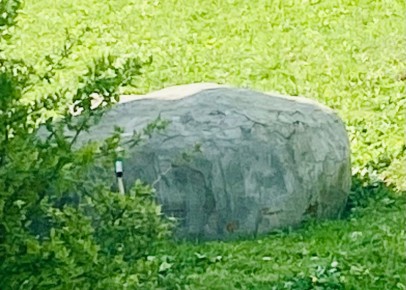 ������������ ��������: ��� ������� ������ � �������� ���