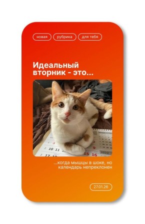 �������� ���� ����!. �������, ��� �������������� ����� �� ������, ��� ���� ����������