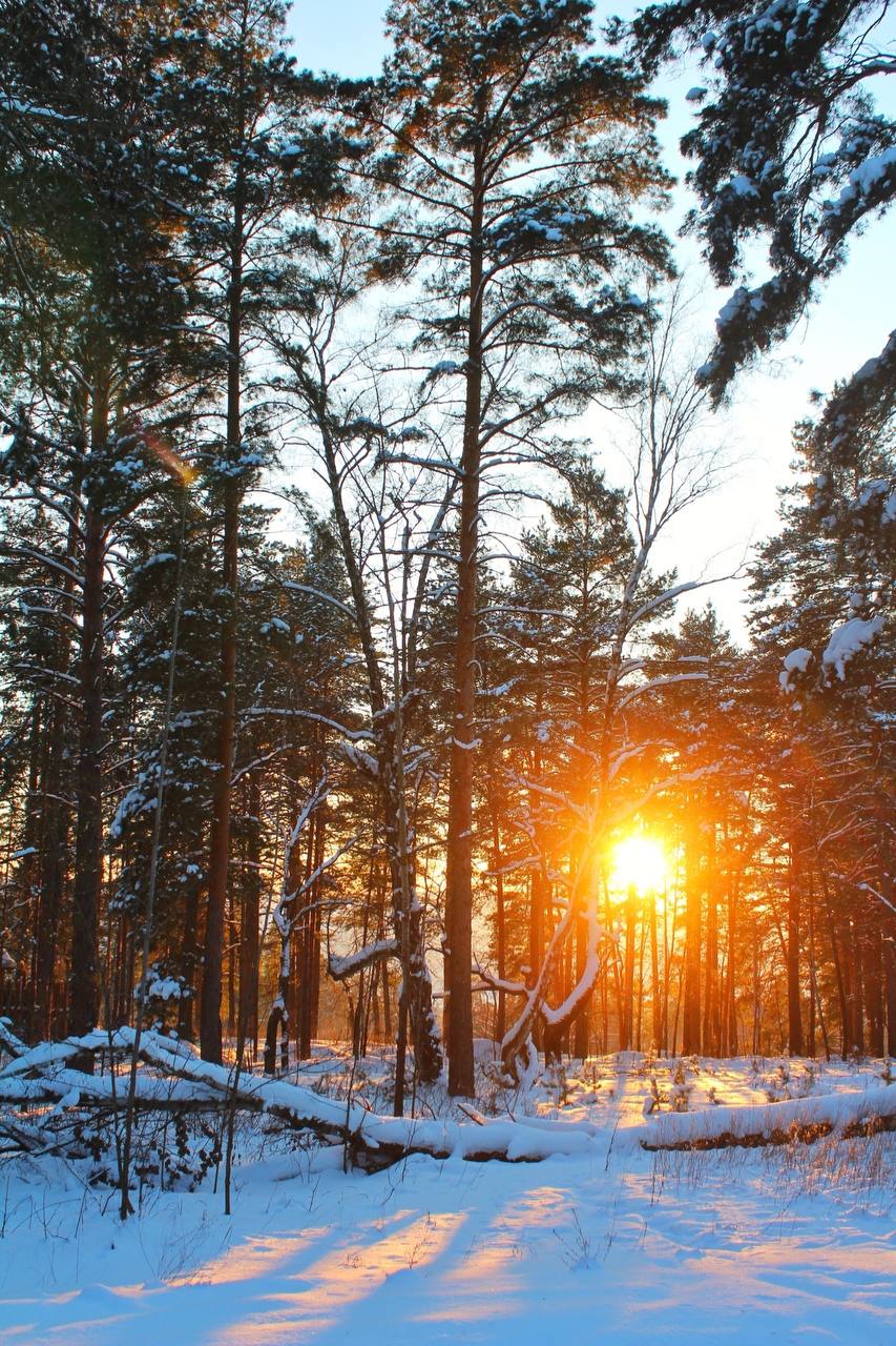 Мыс Красоты в Прибрежном. С вершины открывается панорамный вид на Волжские просторы Мыс Красоты в Прибрежном. С вершины открывается панорамный вид на Волжские просторы