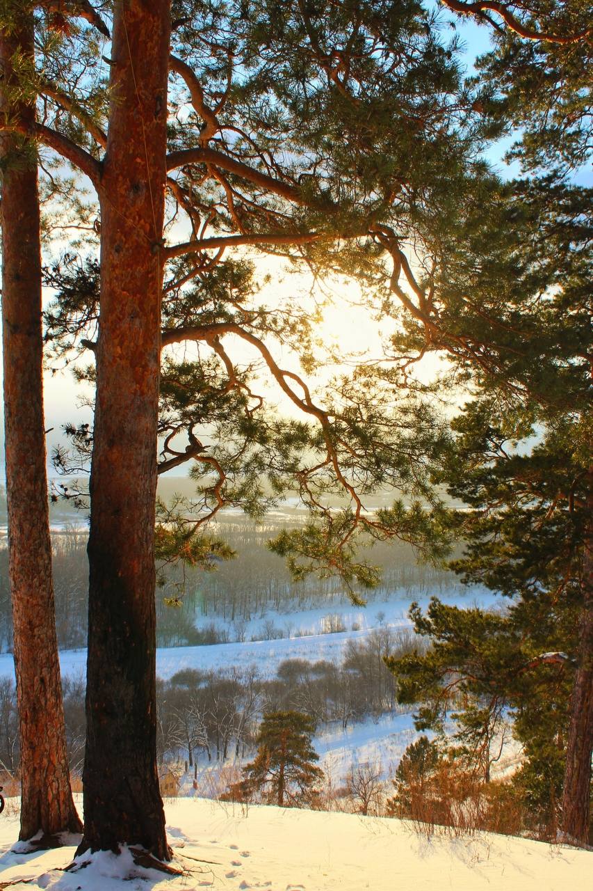 Мыс Красоты в Прибрежном. С вершины открывается панорамный вид на Волжские просторы