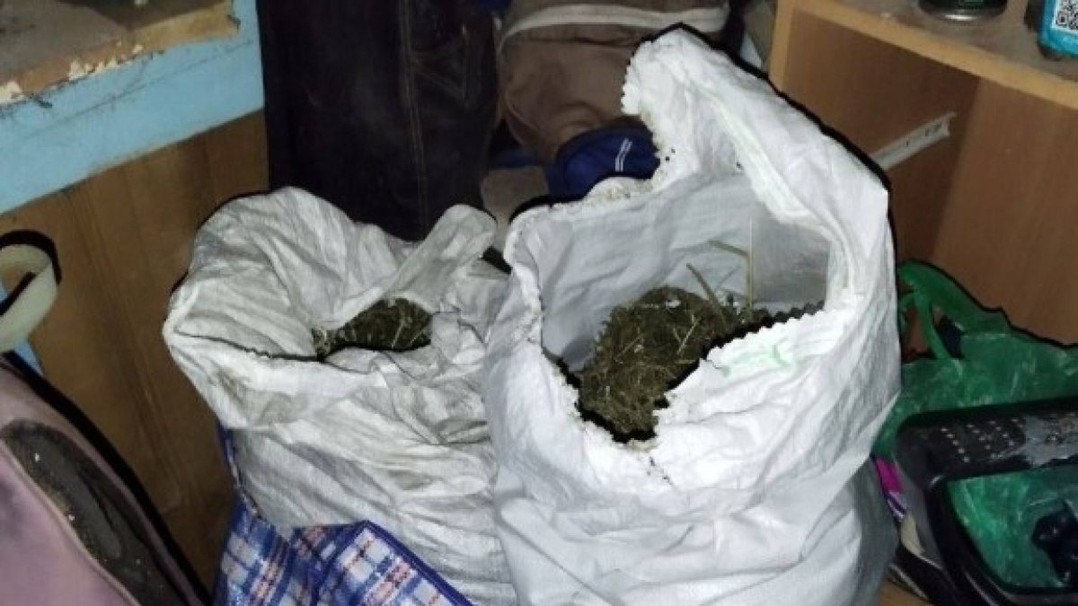 У жителя Самарской области изъяли больше 3,5 кг марихуаны