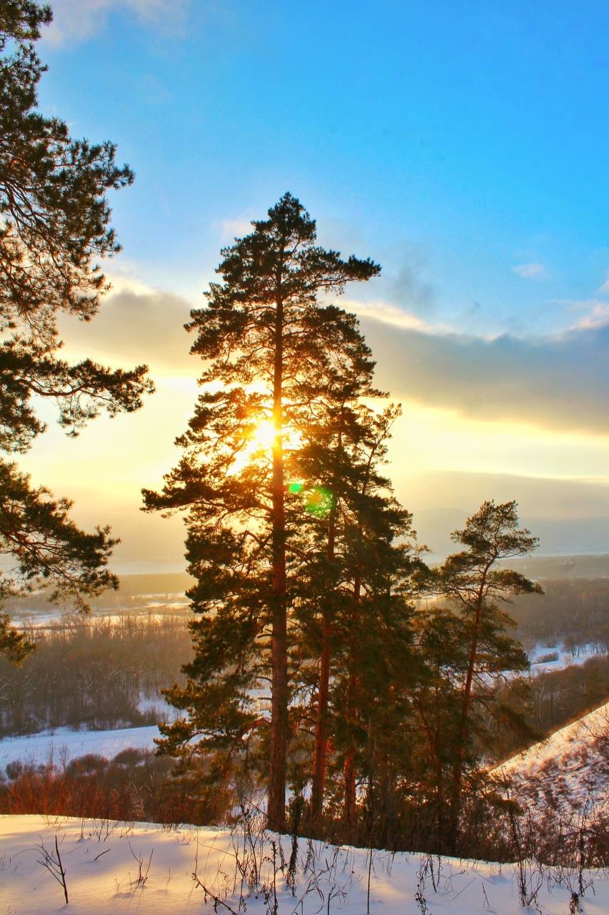 Мыс Красоты в Прибрежном. С вершины открывается панорамный вид на Волжские просторы Мыс Красоты в Прибрежном. С вершины открывается панорамный вид на Волжские просторы