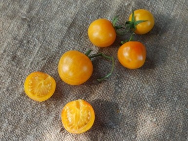 ����� ���� � � (�����): ��������� ���������� ��� ������������ � ���������