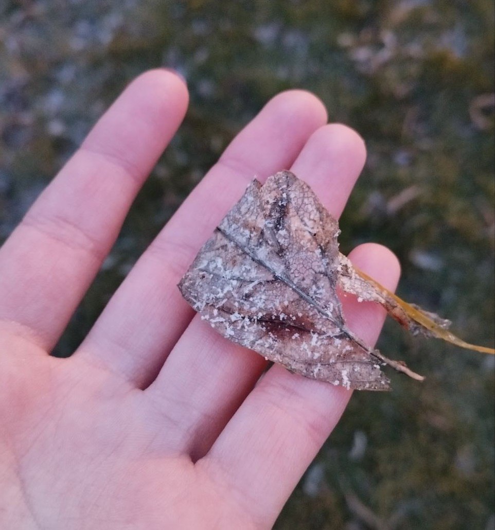 Кожа защищает нас, а как нам защитить её?