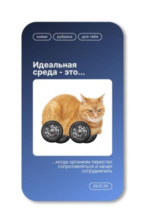 ������� � �������������!. ���������� ������ � ��������� ���������� ������ ������