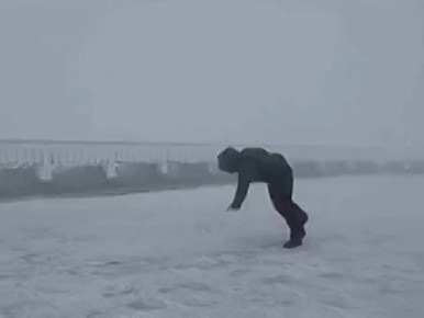 ��������� ����� ������� ��� 29 ������ ������� � ��������� �������