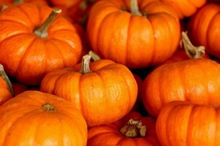 ��������� ����� �� ���������: ������� ������ ������� ��� ���� �����