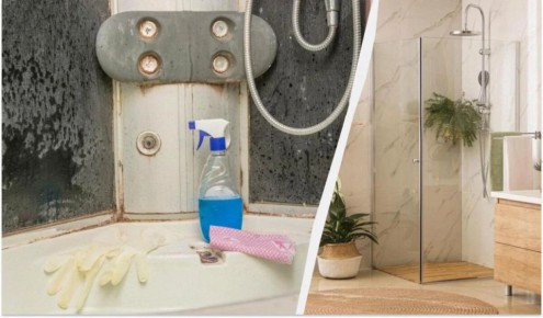 ����������� ����� �������� ��� �����: ����������� ������� ������� ������ �����