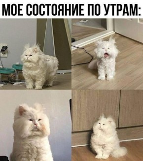 ���� ������ ����!. ��� ���� ������ �� ������ ����� ������� ����