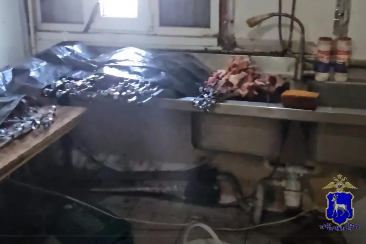 Суд закрыл шашлычную с крысами в Самаре на полтора месяца