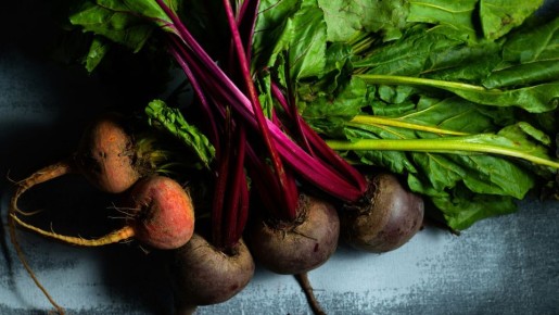 ���� ����� �� ������ ������ ��������: ������ � ������ ����������