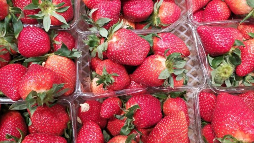 ��������: ���� �� ������������� ���� ��� �����