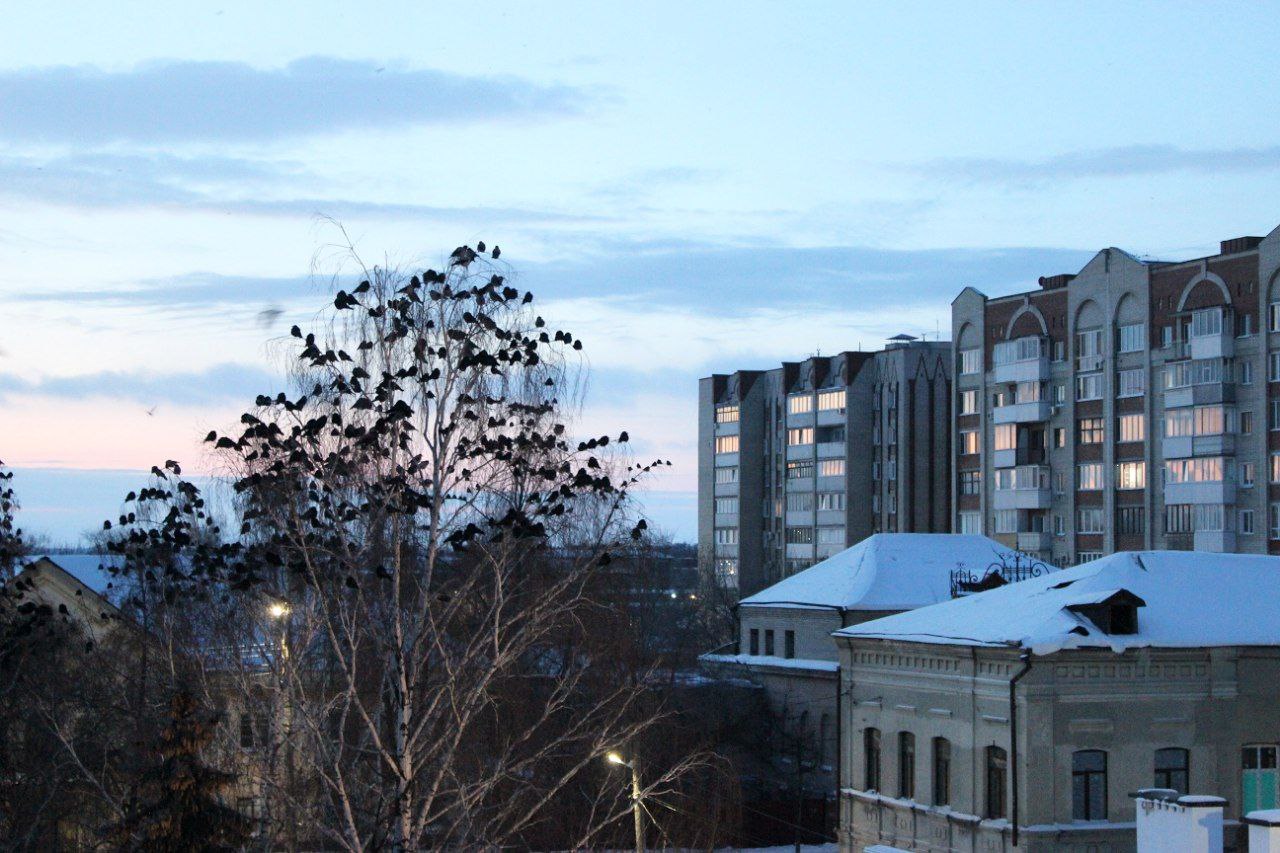 История одного окна. В одно окно смотрели двое История одного окна. В одно окно смотрели двое