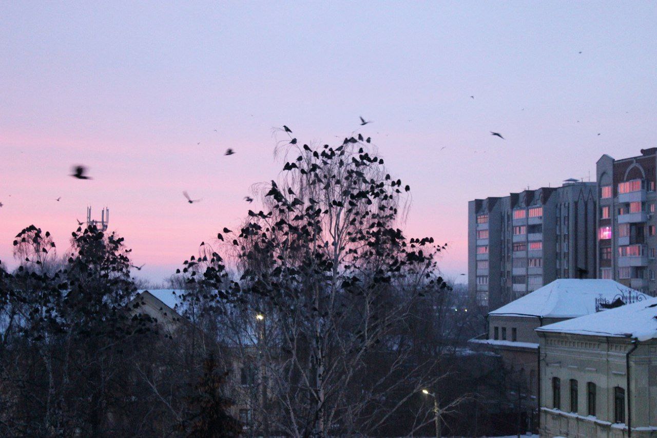 История одного окна. В одно окно смотрели двое История одного окна. В одно окно смотрели двое