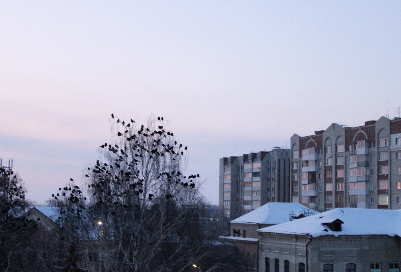 История одного окна. В одно окно смотрели двое История одного окна. В одно окно смотрели двое