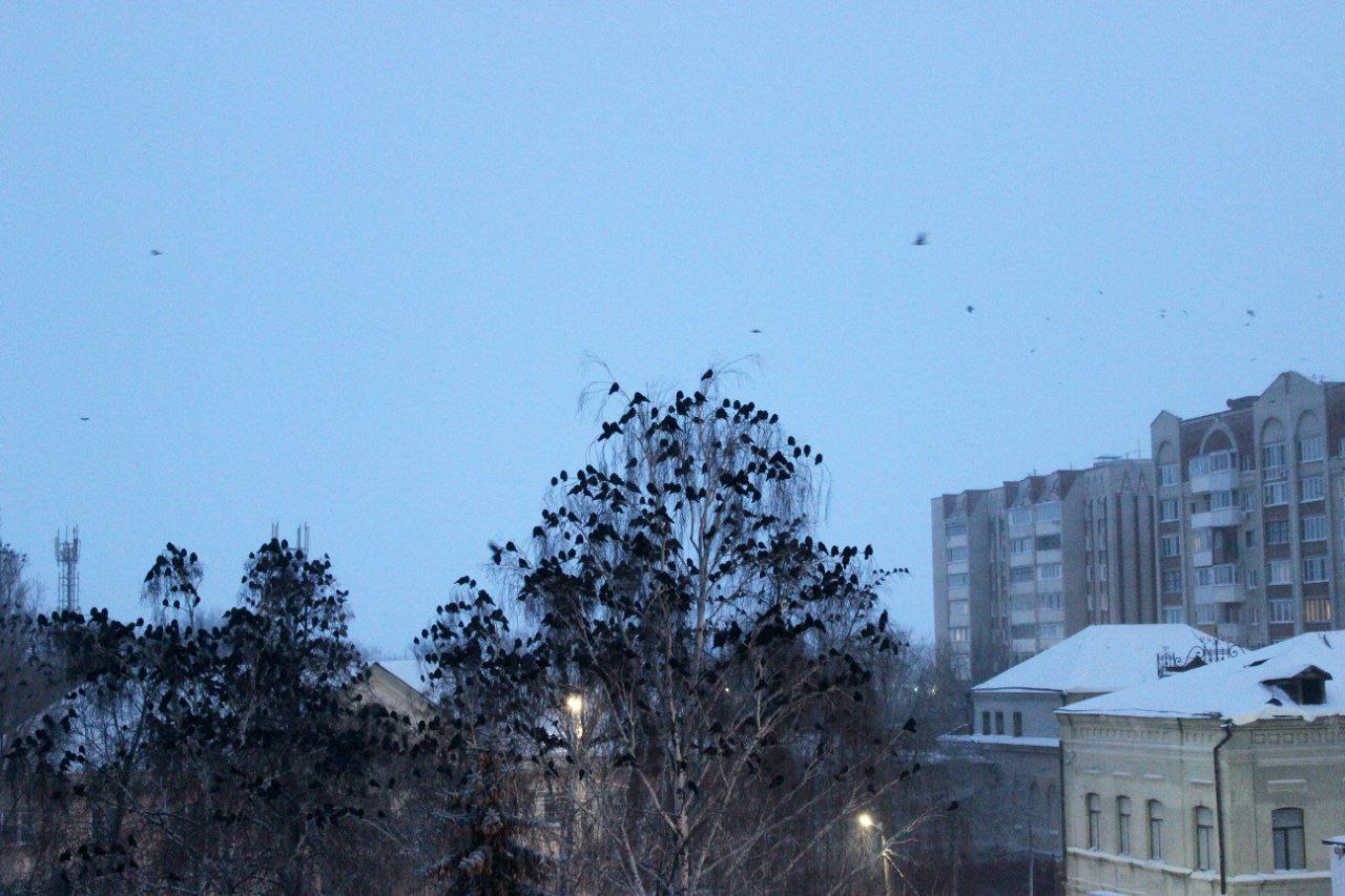 История одного окна. В одно окно смотрели двое История одного окна. В одно окно смотрели двое