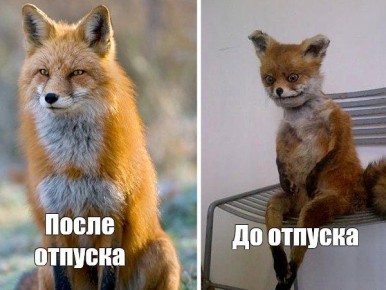 ������ �������� ����� ����� ������� �� ���� ��������