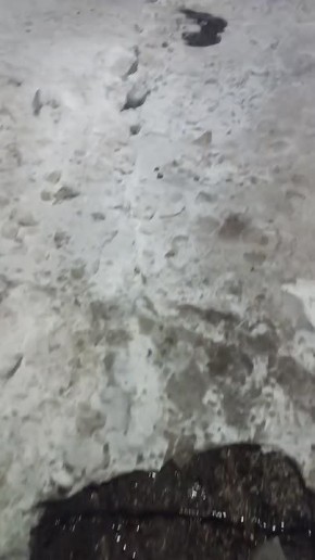 ������� �������� �������� �� ������������ ������ ������ ����� �175