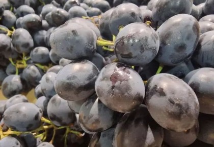 ��� �����, ���� ���� �������� ������ ����: ������ � ����� ��� ��������