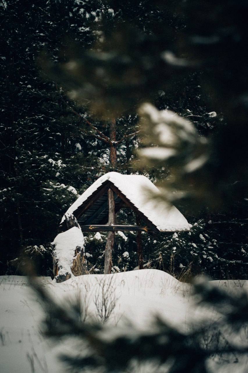 Зимние зарисовки Борского района в объективе Кому на Волге Зимние зарисовки Борского района в объективе Кому на Волге