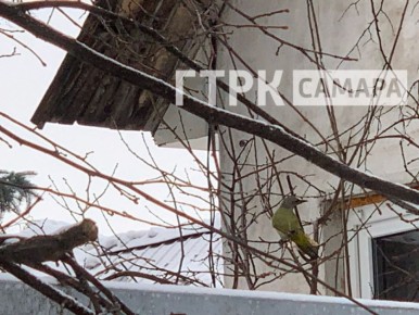 � ������ �� ������� �������� ������ ������������� ������� �����