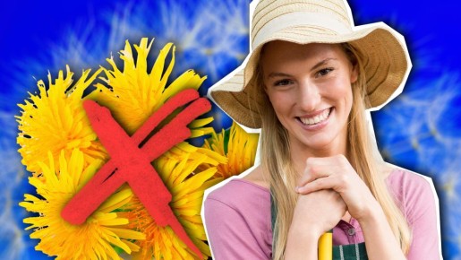 �������� � ����� � ������: ��� �������� �� ������� ����� ����� ��������� ������ �������