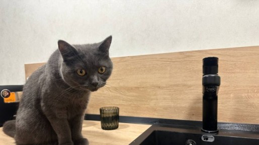 � ������ �� ���� ���� �������� ��� ������� �������� �������� ���� � 3 �� 5 �������