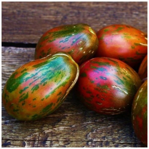 Необычные морские колокольчики: как вырастить сладкие томаты с неповторимой окраской