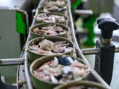 Роскачество находит несоответствия в качестве консервированных сардин