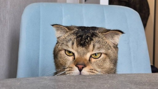 ������ ������ ����!. 1 ������� ���������� ������������� �� �������� -3...-5 �C ��������� ������� �������� ������ �� ������, ������� �������, � ����� ��������� ������ ������