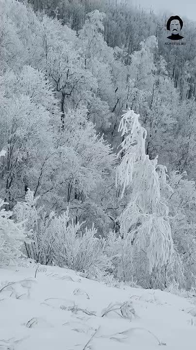 ���� ����������� ���� ��� ���