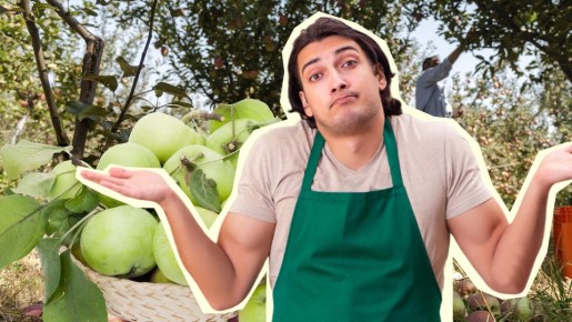 ������ � ����� ��������� �������� �� ��-�� ������: ��� � ��� �������� ������ ������