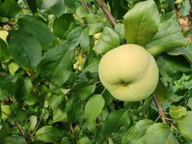 ������: ���������� ������ � ���� �� ��������������� ������