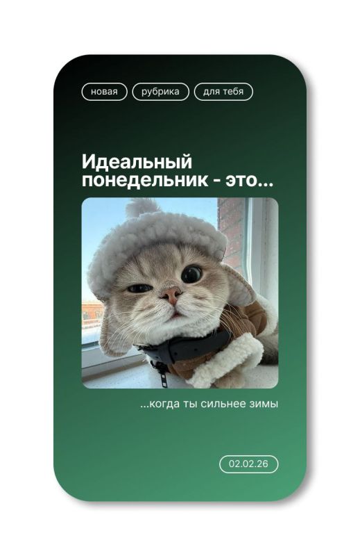 ������ ����!. ��������� ����������� ������� ��� ����� �������� �������� � ��������� ���������� ���� �������� �����!