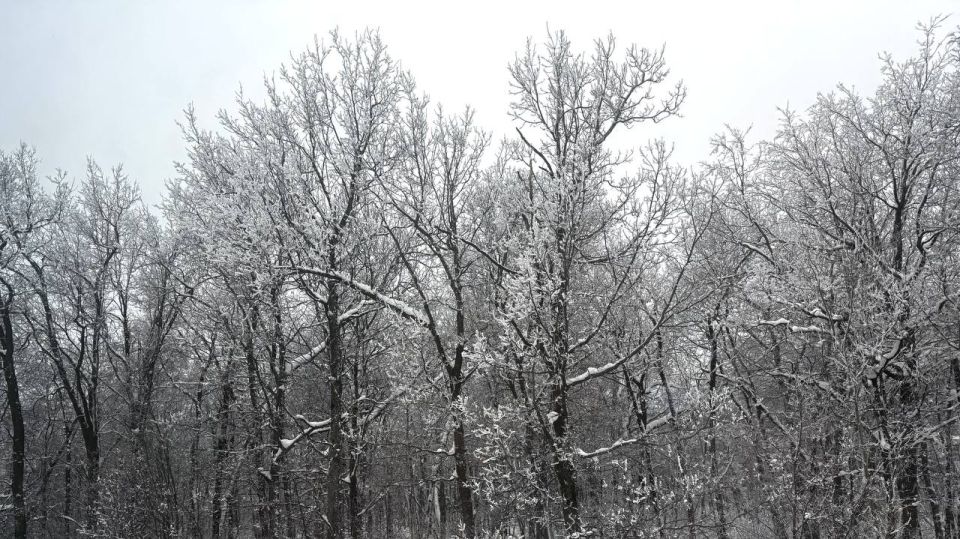 ������ ������ ����!. 2 ������� ���������� ������������� �� �������� -5...-10 �C ��������� ������� �������� ������ � ������������