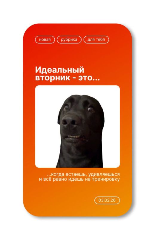 ������ ����, ����������!. ������� �� ��������: ������ ��������� � ��������� ����� ��� ���������� ����� �����!