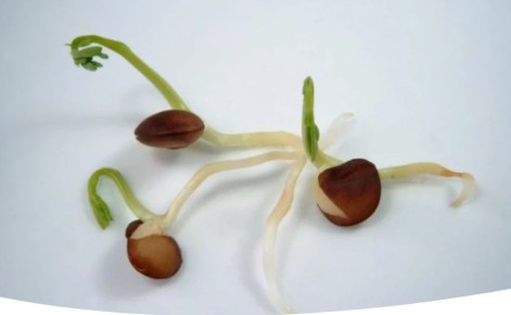 ��� �������� ��������� �����: �������� ������� � ������