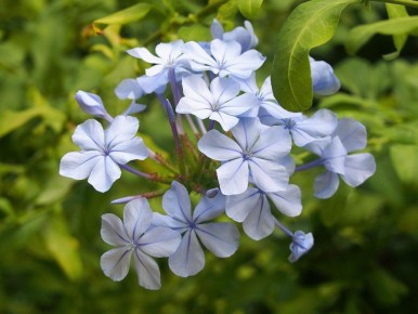 ��������: ������ ��������� ��� � ����� ����