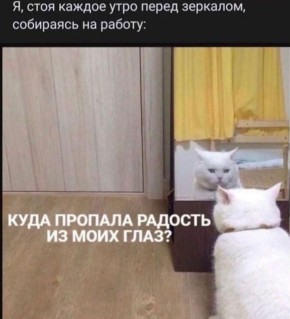 ������ ����, ������!. ������� ����� �������, ��������� ����, ������� �������, �� ������� ������� ������� ������