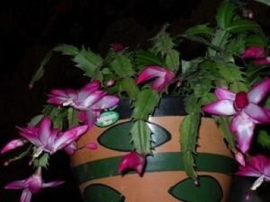 ������ � ���������� ������� ������ � �� ���������� ��������: ��� ������?