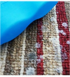 ��� ������� ����� ������������ ��� ����� �����: �������� ������