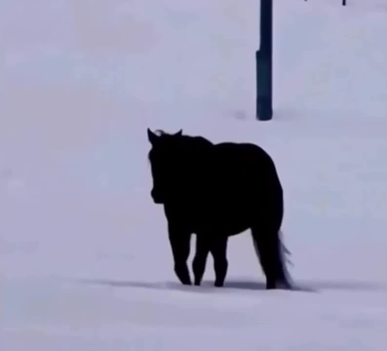 ���������� ������� �� �������� �����