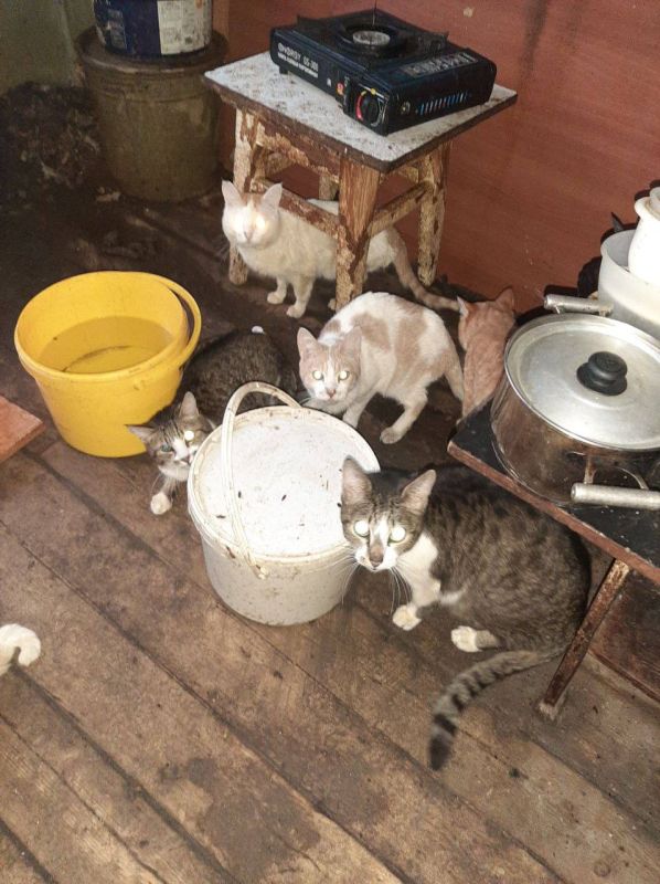 13 ������� ��������� �� ������ �� ������