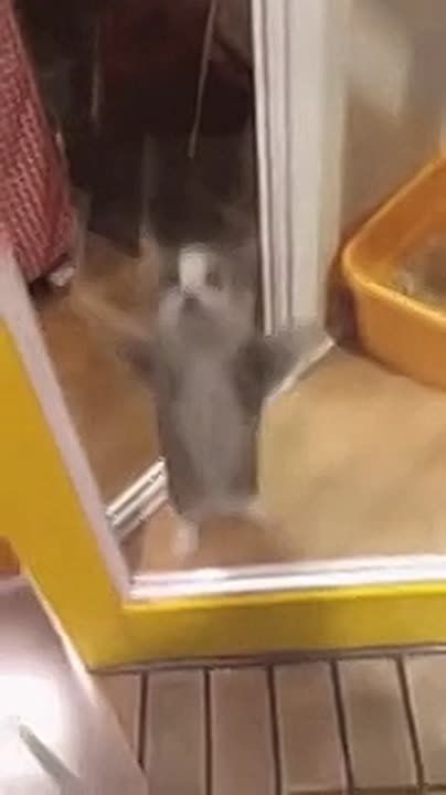 ������� � ��� �������� �������� ����������!