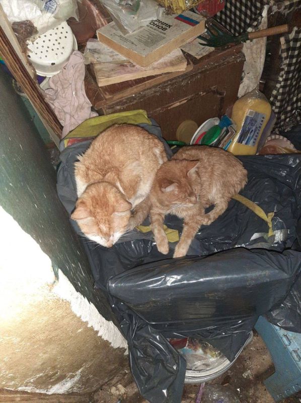 13 ������� ��������� �� ������ �� ������