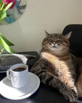 ���� ������ � ����� ����!. ����� ����� �������� �������� �� ��������� ����� ��������� �����! �� ��������� ����������, ������� ����� �����������, ��������� ��� �������