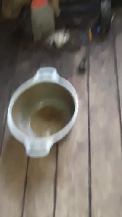 13 ������� ��������� �� ������ �� ������